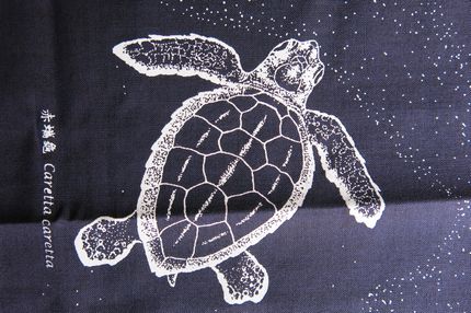 小海龜 Sea Turtles(藍色)